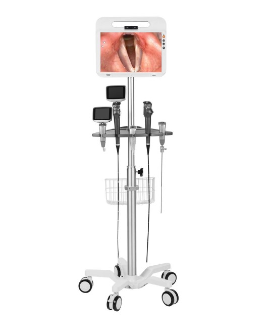 CÔNG TY TNHH Y TẾ HÀ ĐÔ - HADO MEDICAL