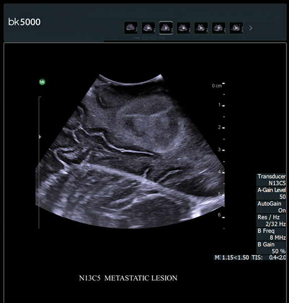 CÔNG TY TNHH Y TẾ HÀ ĐÔ - HADO MEDICAL