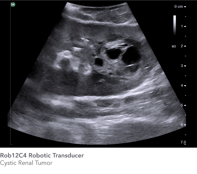 CÔNG TY TNHH Y TẾ HÀ ĐÔ - HADO MEDICAL