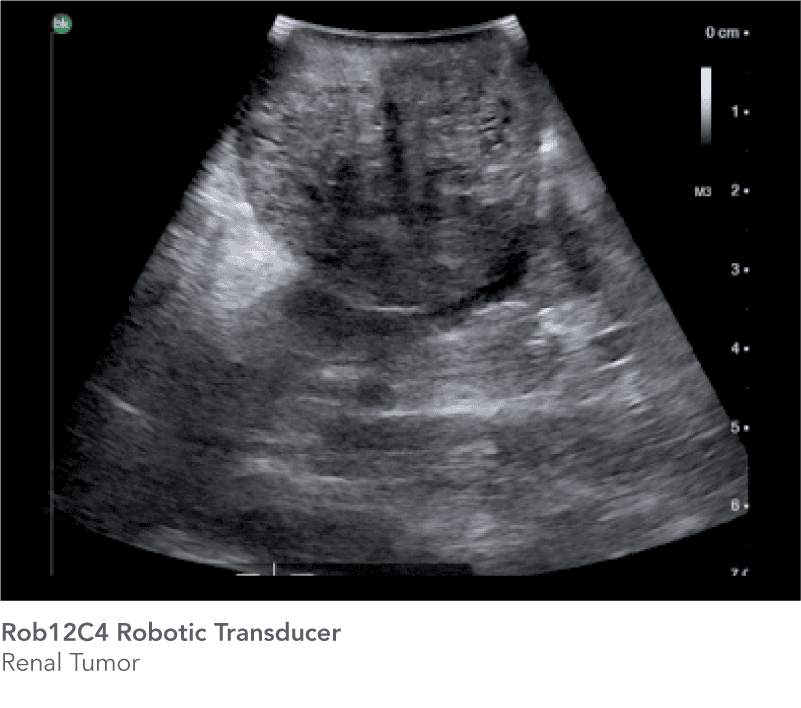 CÔNG TY TNHH Y TẾ HÀ ĐÔ - HADO MEDICAL